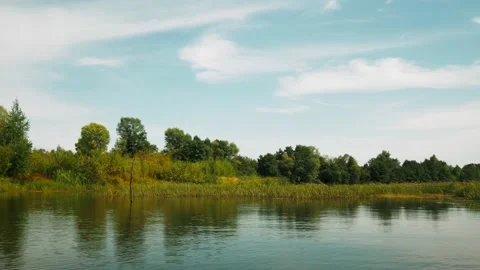River in summer. reflection of trees in the water. panorama from the water. summ Video stock 158858025