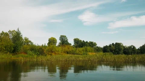 River in summer. reflection of trees in the water. panorama from the water. summ Video stock 158858045