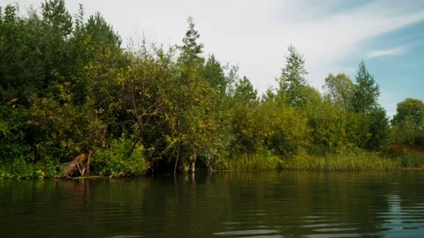River in summer. reflection of trees in the water. panorama from the water. summ 動画素材 158858153