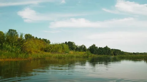 River in summer. reflection of trees in the water. panorama from the water. summ Video stock 158858272