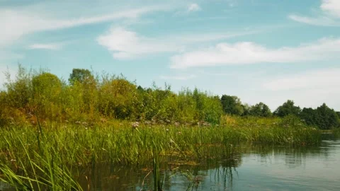 River in summer. reflection of trees in the water. panorama from the water. summ Video stock 158858394