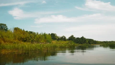 River in summer. reflection of trees in the water. panorama from the water. summ Video stock 158858493