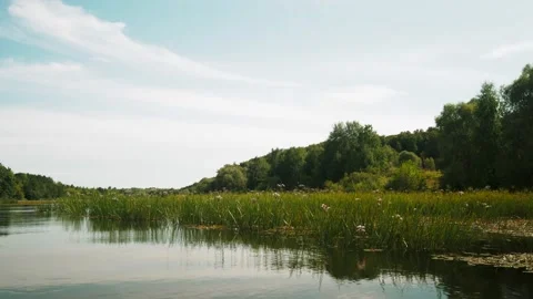 River in summer. reflection of trees in the water. panorama from the water. summ Video stock 158858521