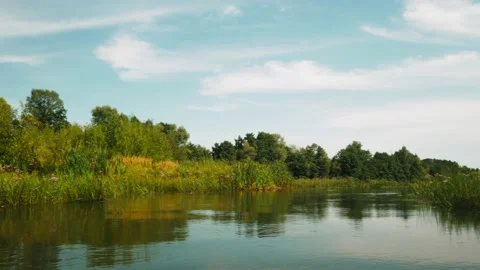 River in summer. reflection of trees in the water. panorama from the water. summ Video stock 158858786