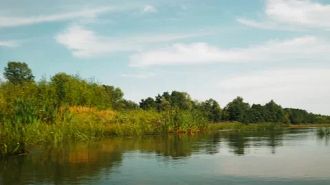 River in summer. reflection of trees in the water. panorama from the water. summ Video stock 158859003