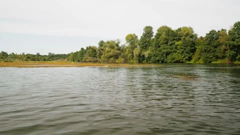 River in summer. reflection of trees in the water. panorama from the water. summ Video stock 158859338