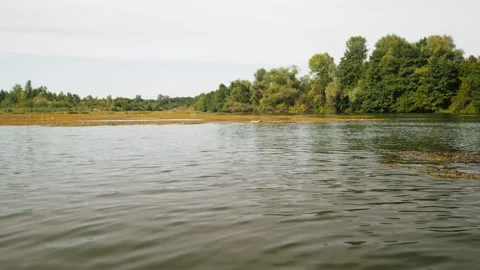 River in summer. reflection of trees in the water. panorama from the water. summ Video stock 158859393