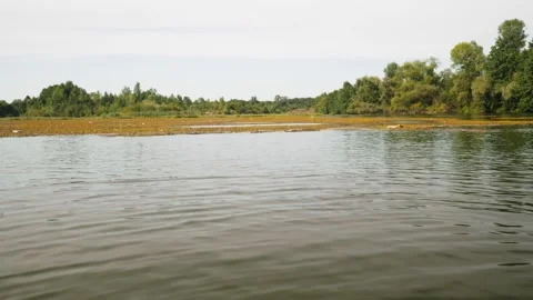 River in summer. reflection of trees in the water. panorama from the water. summ Video stock 158859558