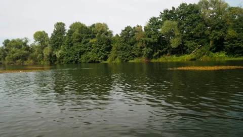 River in summer. reflection of trees in the water. panorama from the water. summ Video stock 158859671