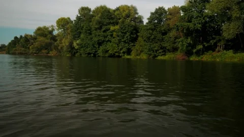 River in summer. reflection of trees in the water. panorama from the water. summ Video stock 158859848