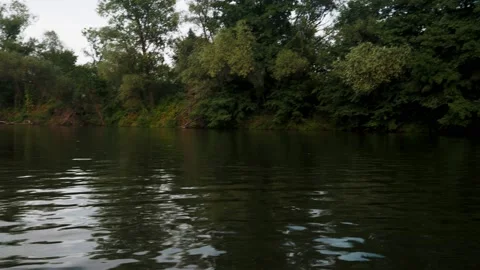 River in summer. reflection of trees in the water. panorama from the water. summ Video stock 158859964