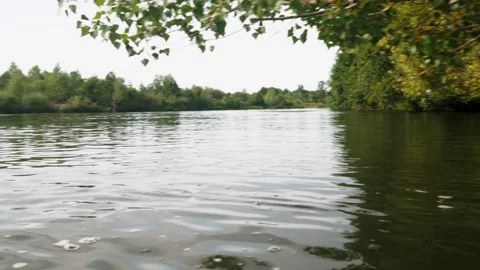 River in summer. reflection of trees in the water. panorama from the water. summ Video stock 158860080