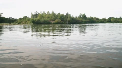 River in summer. reflection of trees in the water. panorama from the water. summ Video stock 158860164