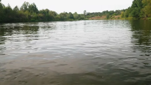 River in summer. reflection of trees in the water. panorama from the water. summ Video stock 158860424