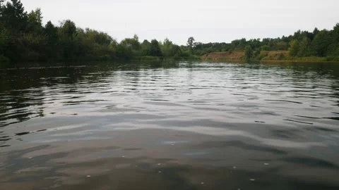 River in summer. reflection of trees in the water. panorama from the water. summ Video stock 158860459