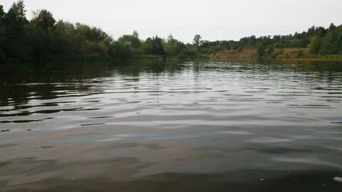 River in summer. reflection of trees in the water. panorama from the water. summ Video stock 158860499