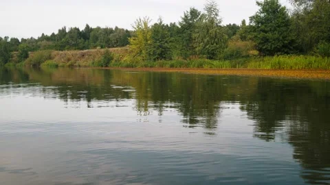 River in summer. reflection of trees in the water. panorama from the water. summ Video stock 158860552