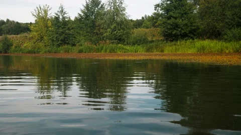 River in summer. reflection of trees in the water. panorama from the water. summ Video stock 158860593
