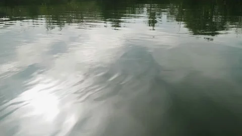River in summer. reflection of trees in the water. panorama from the water. summ Video stock 158860651
