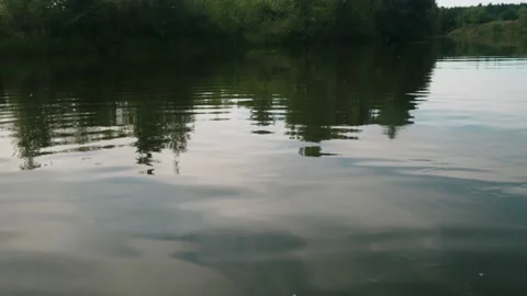 River in summer. reflection of trees in the water. panorama from the water. summ Video stock 158860669