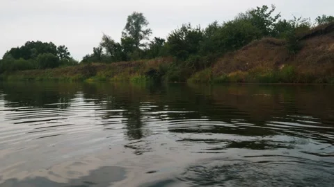 River in summer. reflection of trees in the water. panorama from the water. summ Video stock 158860746