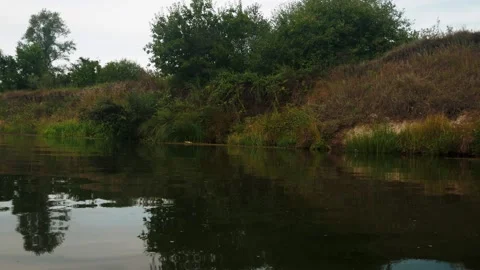 River in summer. reflection of trees in the water. panorama from the water. summ Video stock 158860901