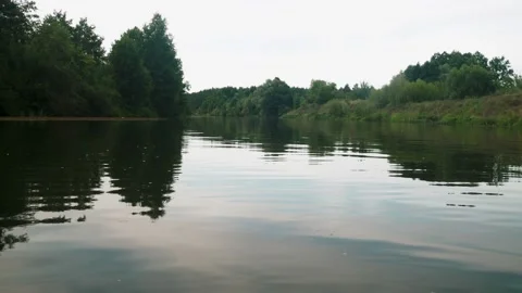 River in summer. reflection of trees in the water. panorama from the water. summ Video stock 158860918