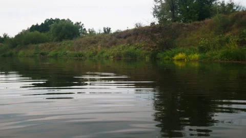 River in summer. reflection of trees in the water. panorama from the water. summ Video stock 158860968