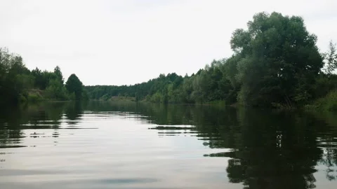 River in summer. reflection of trees in the water. panorama from the water. summ Video stock 158861041
