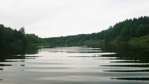 River in summer. reflection of trees in the water. panorama from the water. summ Video stock 158861150