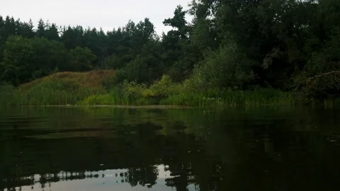River in summer. reflection of trees in the water. panorama from the water. summ Video stock 158861168
