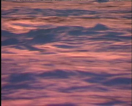 River summer stream 3 Stock Footage 789352