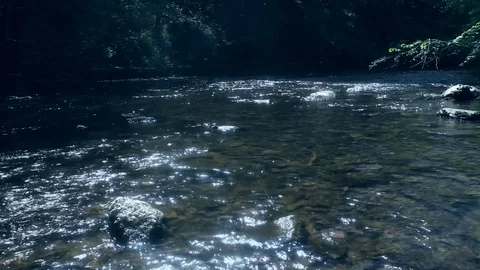 River in summertime. Stock Footage 79186884