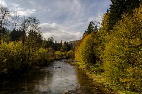 River in the sun and clouds Foto stock