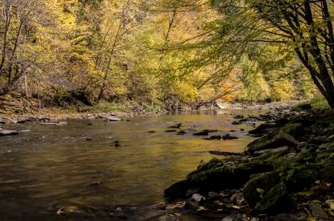River in the sun and clouds Stock Photos