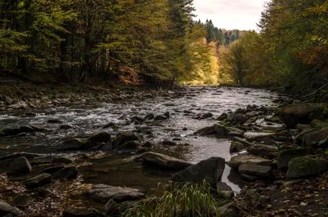 River in the sun and clouds Stock Photos