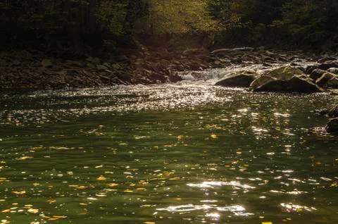River in the sun and clouds Stock Photos