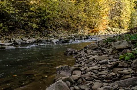 River in the sun and clouds Stock Photos