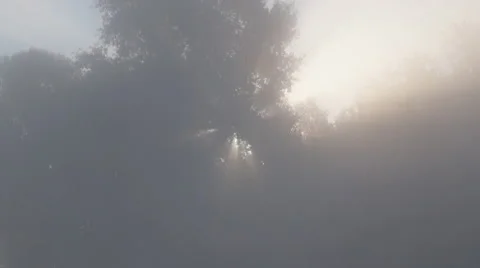 River, sun Stock Footage 41454503