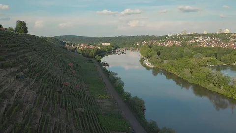 A river at sundown in between vineyards and forest Stock Footage 90663354