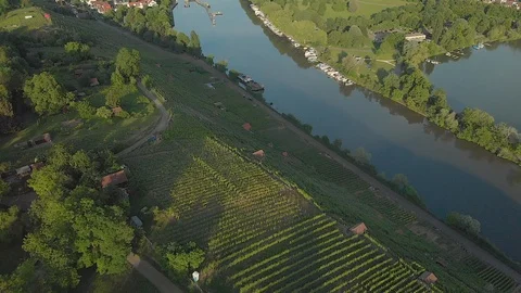 A river at sundown in between vineyards and forest tilt up aerial Stock Footage 90663559