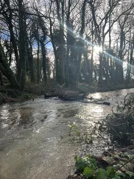 River With Sunlight Beam On It Фото