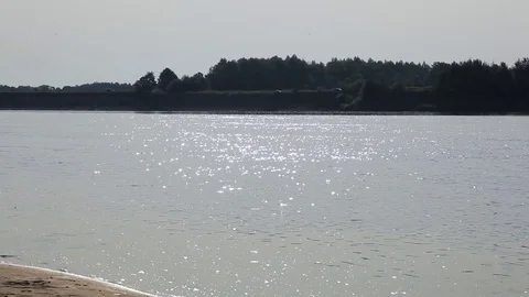 River in Sunny summer day Stock Footage 79342049