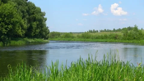 River at sunny summer day Stock Footage 168538794