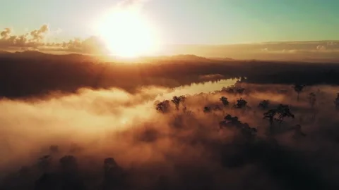 River Sunrise in the Amazonas Forrest Stock Footage 164669335