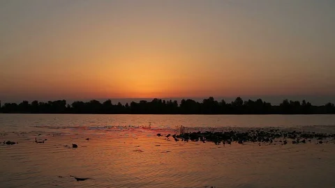 River at sunrise Stock Footage 95433484