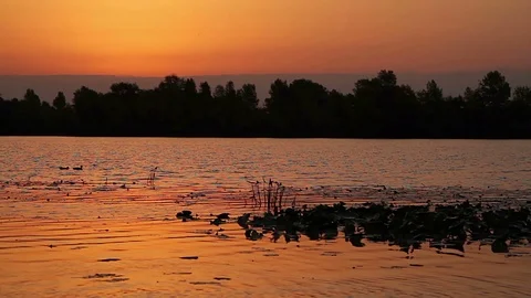 River at sunrise Stock-Footage 97525301