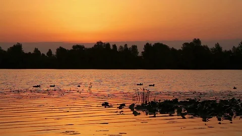 River at sunrise Vidéo 97758731