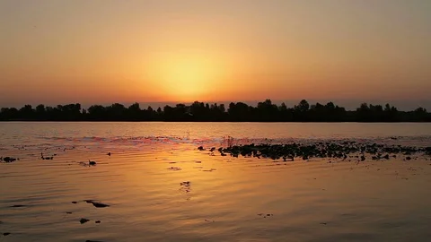 River at sunrise Stock Footage 98554966