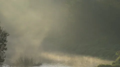 The river at sunrise 스톡 동영상 141377894